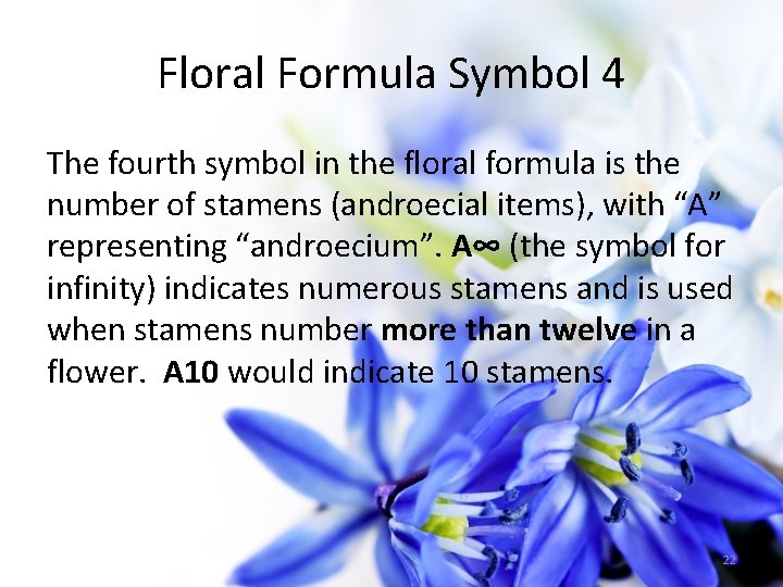 Floral Formula Symbol 4 The fourth symbol in the floral formula is the number