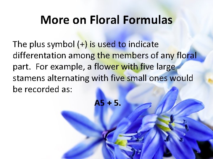 More on Floral Formulas The plus symbol (+) is used to indicate differentation among