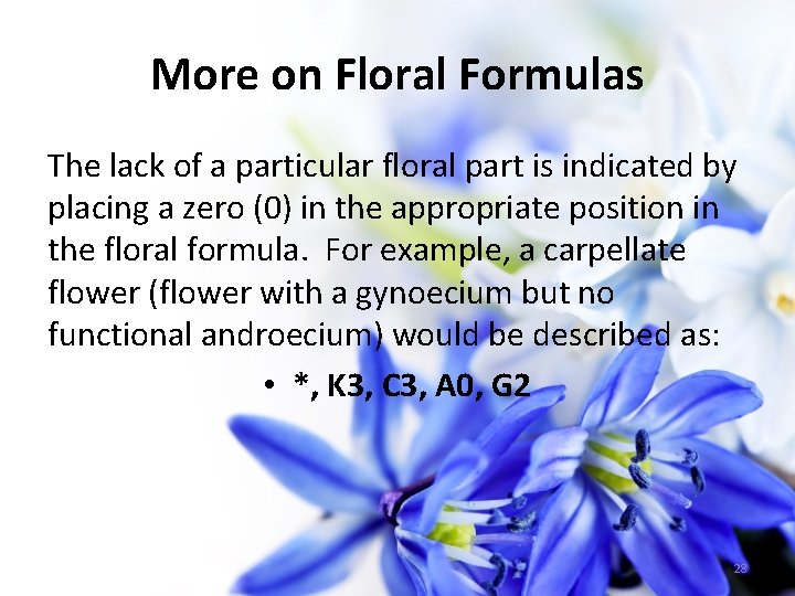 More on Floral Formulas The lack of a particular floral part is indicated by