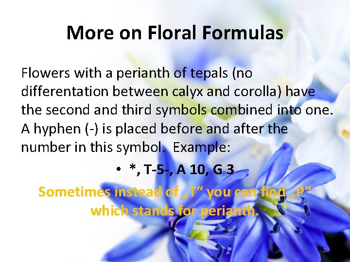 More on Floral Formulas Flowers with a perianth of tepals (no differentation between calyx