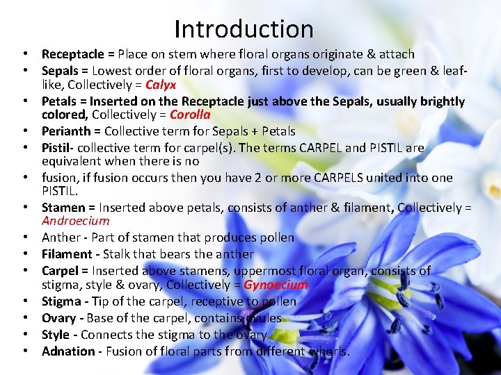 Introduction • Receptacle = Place on stem where floral organs originate & attach •