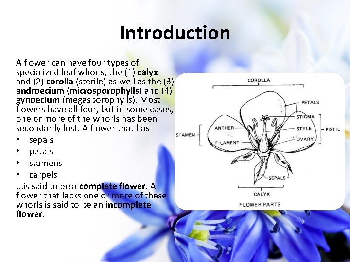 Introduction A flower can have four types of specialized leaf whorls, the (1) calyx