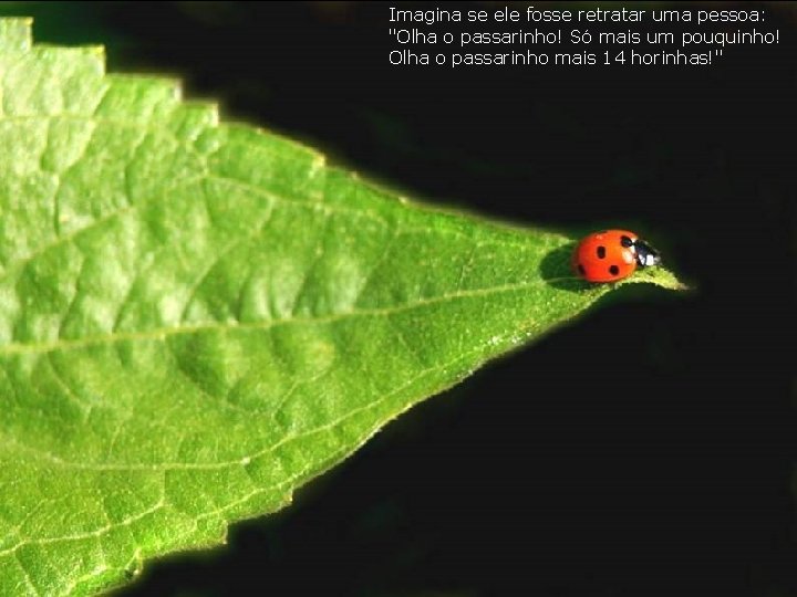 Imagina se ele fosse retratar uma pessoa: "Olha o passarinho! Só mais um pouquinho!