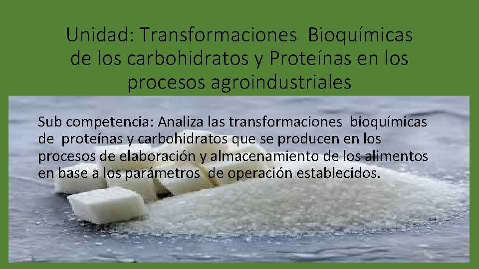 Unidad: Transformaciones Bioquímicas de los carbohidratos y Proteínas en los procesos agroindustriales Sub competencia: