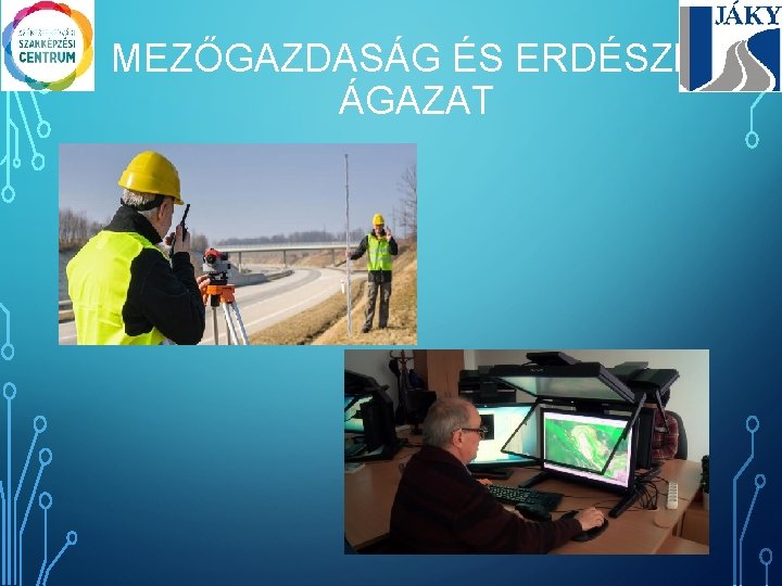 MEZŐGAZDASÁG ÉS ERDÉSZET ÁGAZAT 