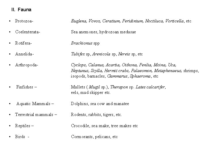 II. Fauna • Protozoa- Euglena, Vovox, Ceratium, Peridinium, Noctiluca, Vorticella, etc • Coelenterata- Sea