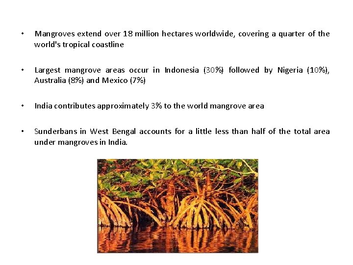  • Mangroves extend over 18 million hectares worldwide, covering a quarter of the