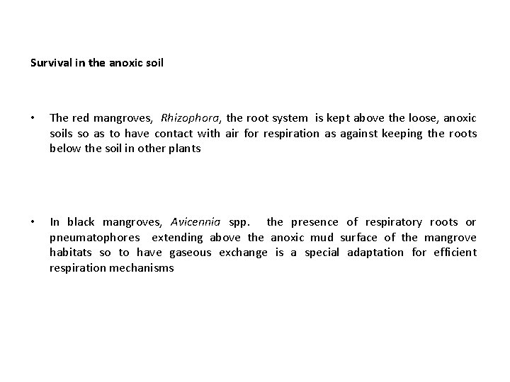 Survival in the anoxic soil • The red mangroves, Rhizophora, the root system is