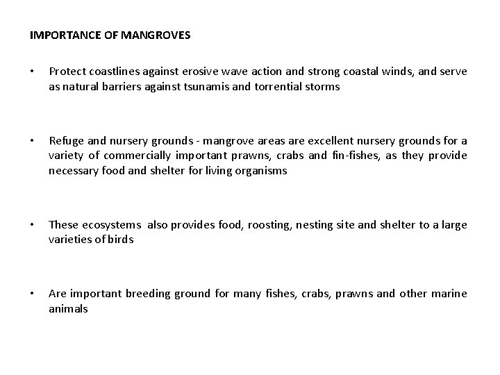 IMPORTANCE OF MANGROVES • Protect coastlines against erosive wave action and strong coastal winds,