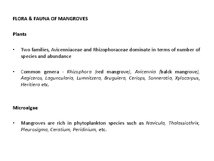 FLORA & FAUNA OF MANGROVES Plants • Two families, Avicenniaceae and Rhizophoraceae dominate in