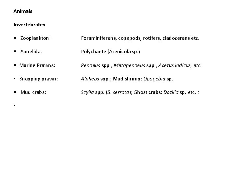 Animals Invertebrates • Zooplankton: Foraminiferans, copepods, rotifers, cladocerans etc. • Annelida: Polychaete (Arenicola sp.