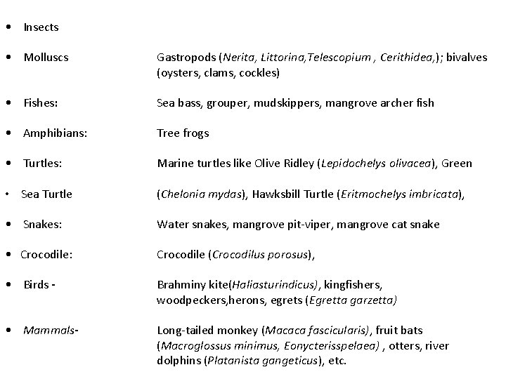  • Insects • Molluscs Gastropods (Nerita, Littorina, Telescopium , Cerithidea, ); bivalves (oysters,