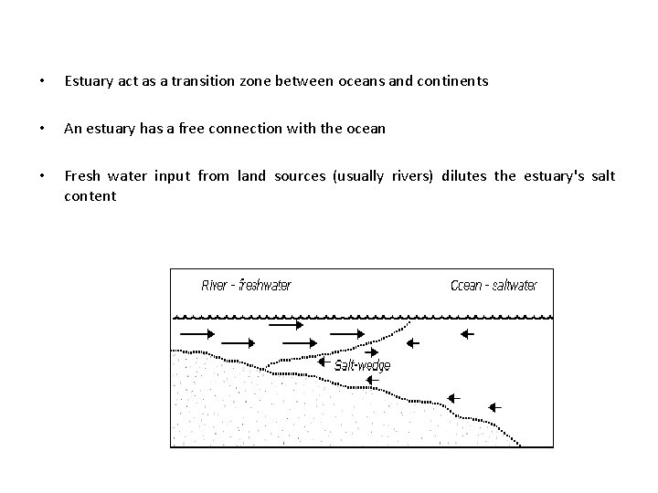  • Estuary act as a transition zone between oceans and continents • An
