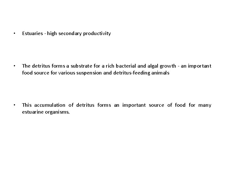  • Estuaries - high secondary productivity • The detritus forms a substrate for