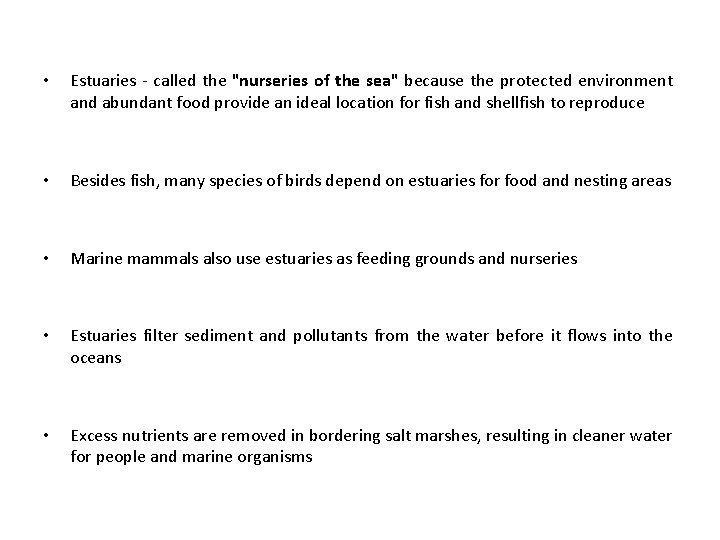  • Estuaries - called the "nurseries of the sea" because the protected environment