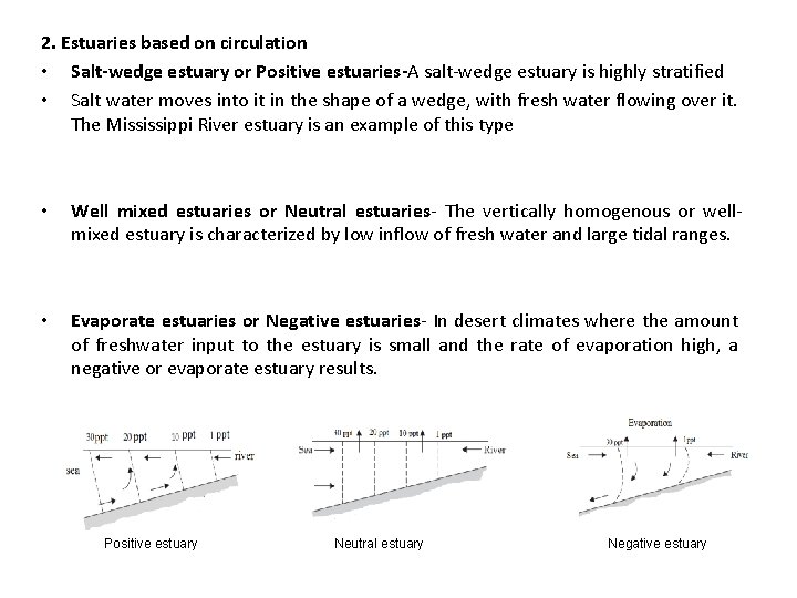 2. Estuaries based on circulation • Salt-wedge estuary or Positive estuaries-A salt-wedge estuary is