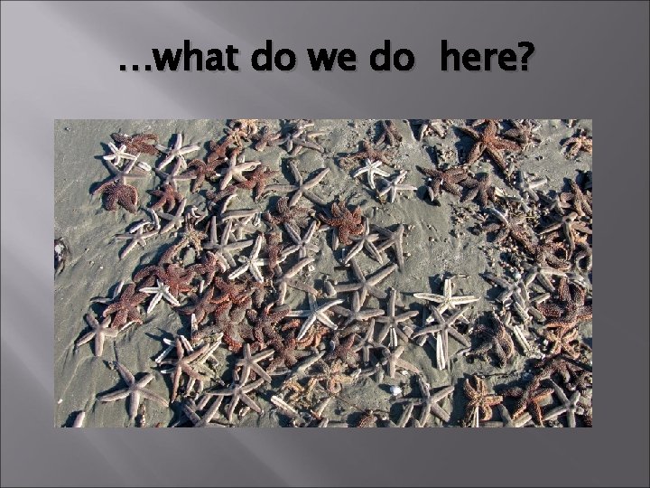 …what do we do here? 