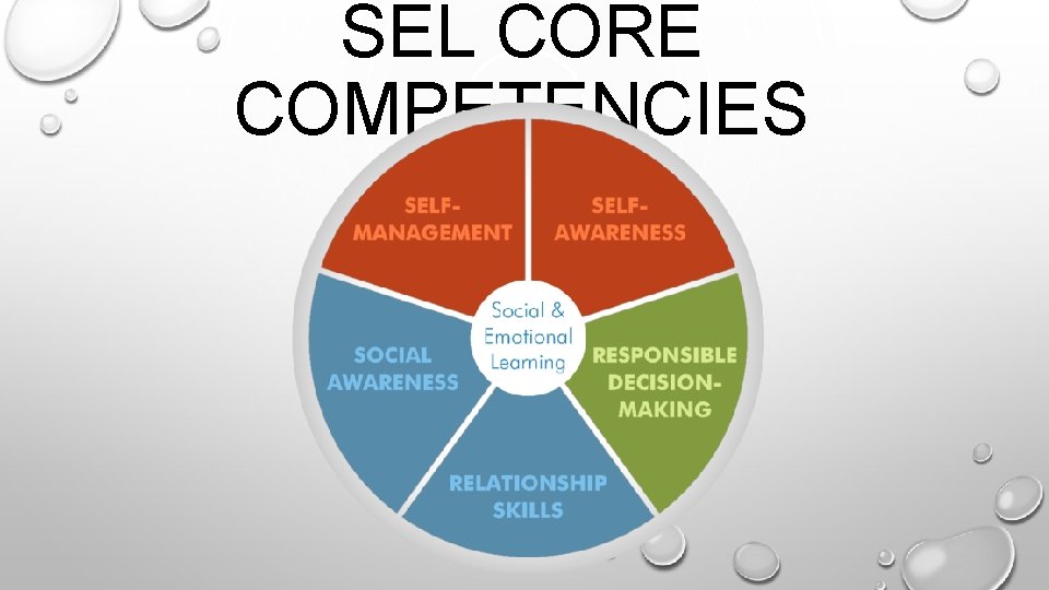 SEL CORE COMPETENCIES 