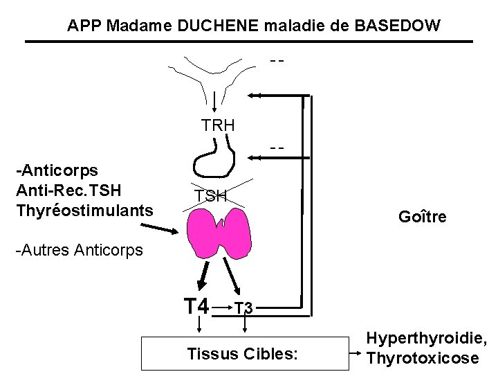 APP Madame DUCHENE maladie de BASEDOW -- TRH --Anticorps Anti-Rec. TSH Thyréostimulants TSH Goître