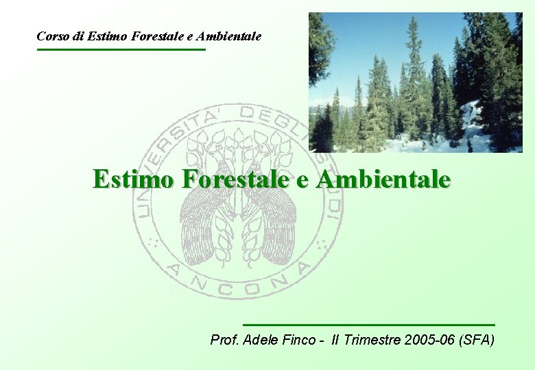 Corso di Estimo Forestale e Ambientale Prof. Adele Finco - II Trimestre 2005 -06