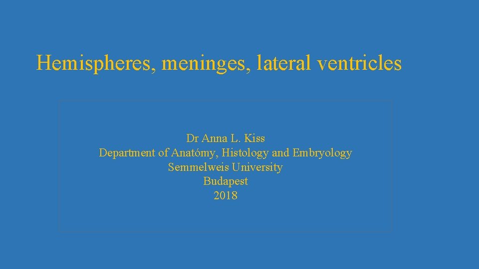 Hemispheres, meninges, lateral ventricles Dr Anna L. Kiss Department of Anatómy, Histology and Embryology