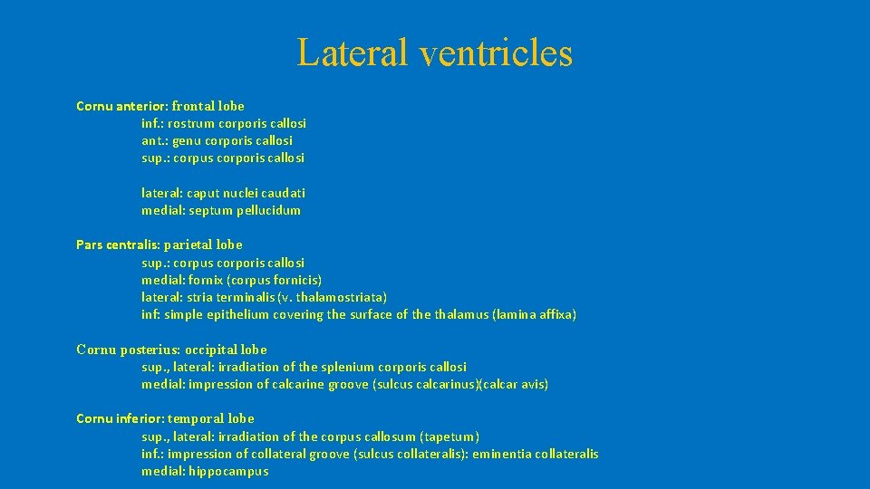 Lateral ventricles Cornu anterior: frontal lobe inf. : rostrum corporis callosi ant. : genu