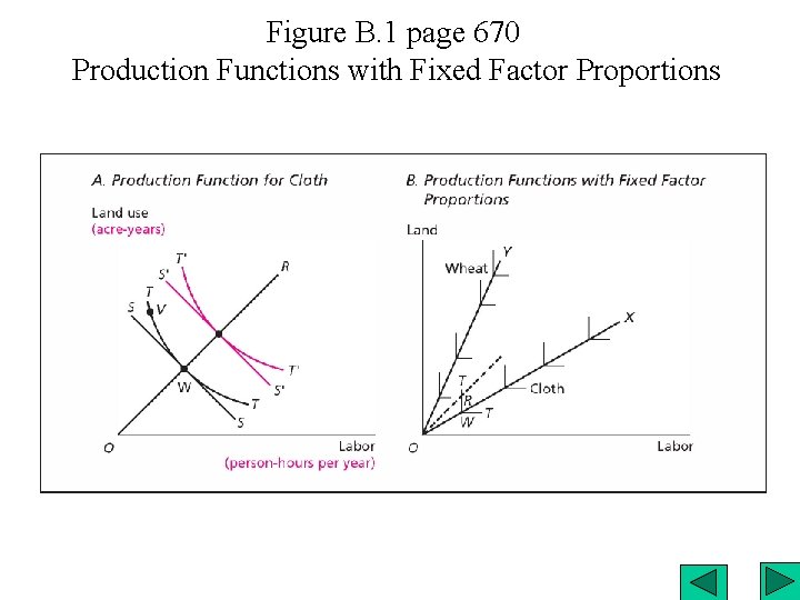 Figure B. 1 page 670 Production Functions with Fixed Factor Proportions 