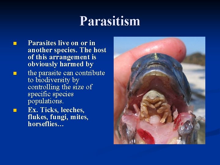 Parasitism n n n Parasites live on or in another species. The host of Parasitism n n n Parasites live on or in another species. The host of
