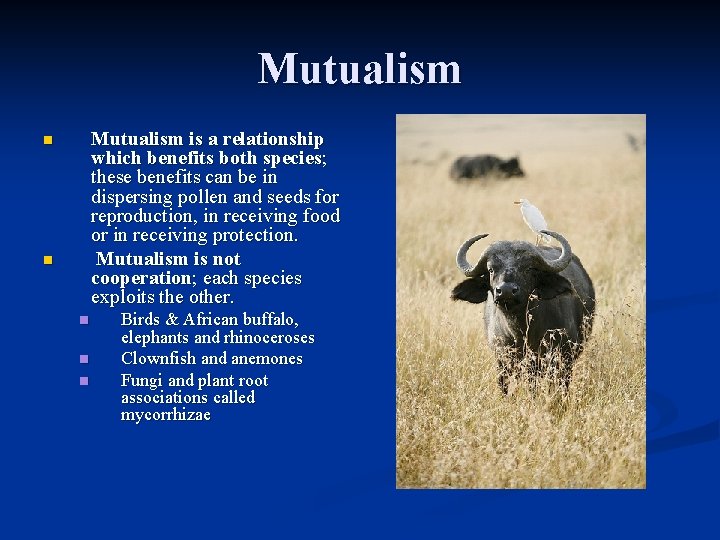 Mutualism is a relationship which benefits both species; these benefits can be in dispersing Mutualism is a relationship which benefits both species; these benefits can be in dispersing