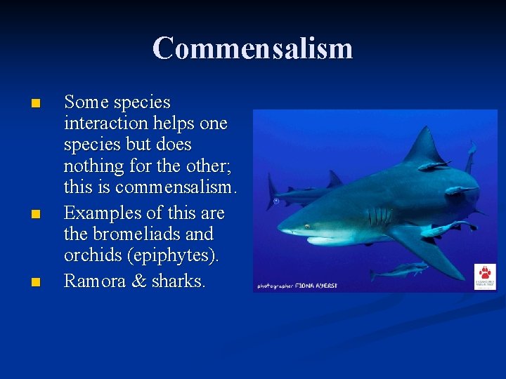 Commensalism n n n Some species interaction helps one species but does nothing for Commensalism n n n Some species interaction helps one species but does nothing for