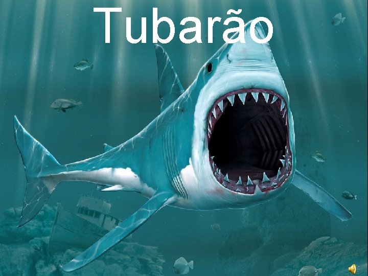 Tubarão 