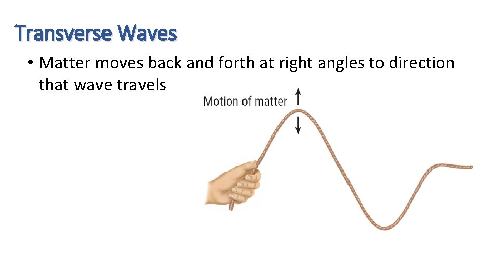 Transverse Waves • Matter moves back and forth at right angles to direction that