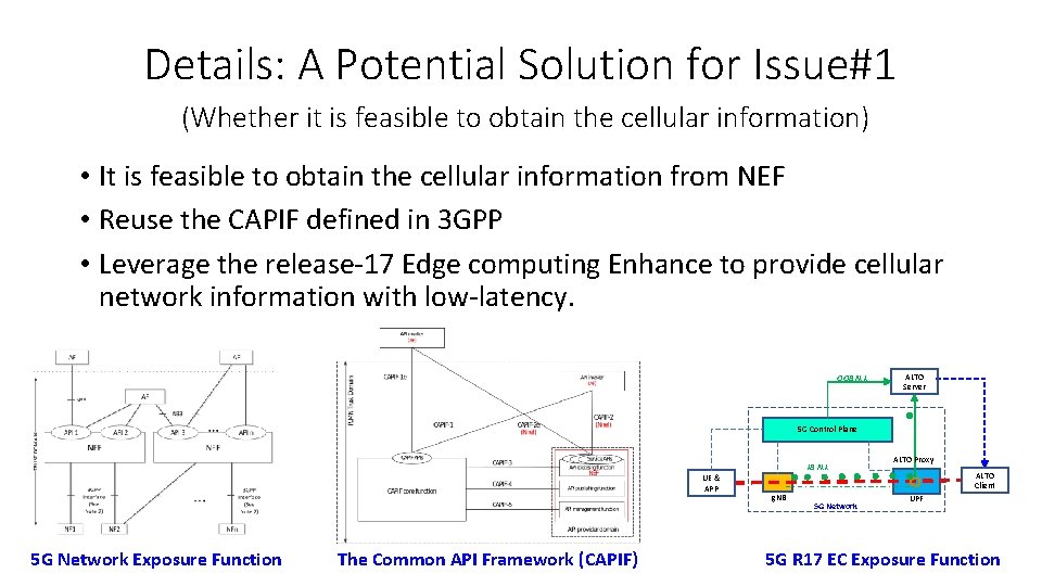 Details: A Potential Solution for Issue#1 (Whether it is feasible to obtain the cellular
