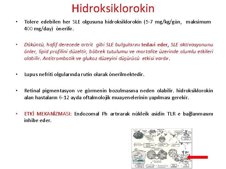 Hidroksiklorokin • Tolere edebilen her SLE olgusuna hidroksiklorokin (5 -7 mg/kg/gün, maksimum 400 mg/day)