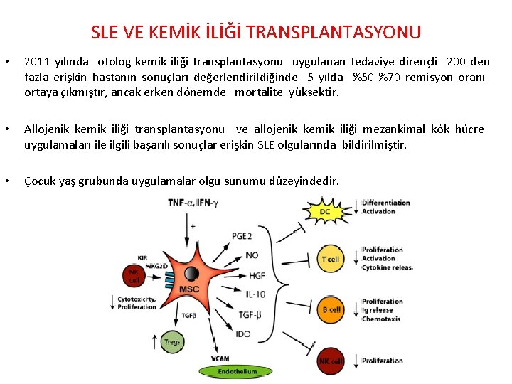 SLE VE KEMİK İLİĞİ TRANSPLANTASYONU • 2011 yılında otolog kemik iliği transplantasyonu uygulanan tedaviye