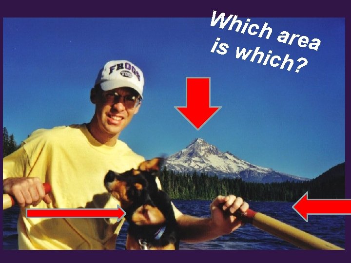 Whic h are a is wh ich? 