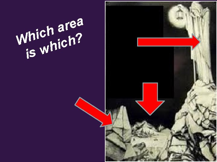 a e r a h c i h ? W h c i h