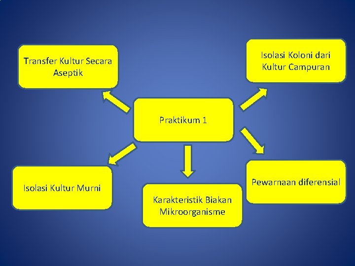 Isolasi Koloni dari Kultur Campuran Transfer Kultur Secara Aseptik Praktikum 1 Isolasi Kultur Murni