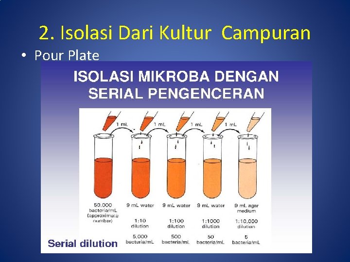 2. Isolasi Dari Kultur Campuran • Pour Plate 