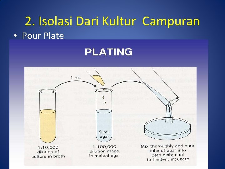 2. Isolasi Dari Kultur Campuran • Pour Plate 