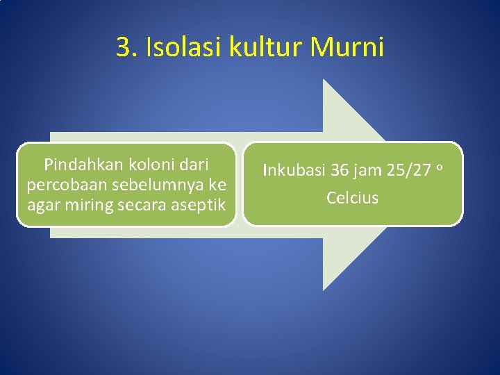 3. Isolasi kultur Murni Pindahkan koloni dari percobaan sebelumnya ke agar miring secara aseptik