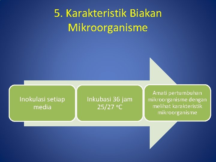 5. Karakteristik Biakan Mikroorganisme Inokulasi setiap media Inkubasi 36 jam 25/27 o. C Amati