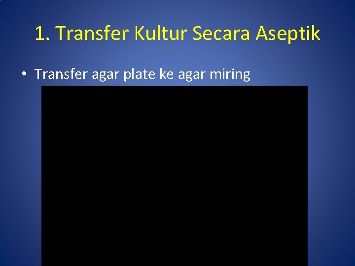 1. Transfer Kultur Secara Aseptik • Transfer agar plate ke agar miring 