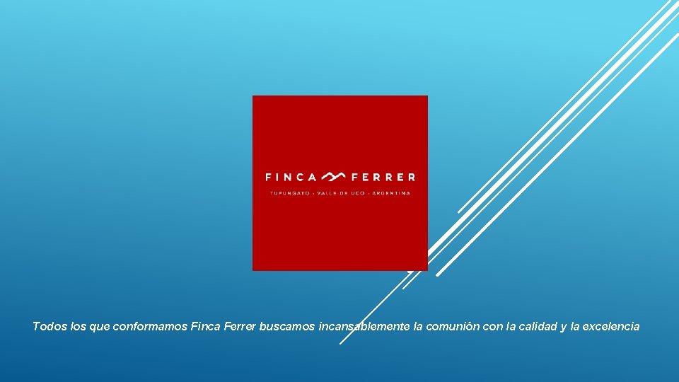 Todos los que conformamos Finca Ferrer buscamos incansablemente la comunión con la calidad y