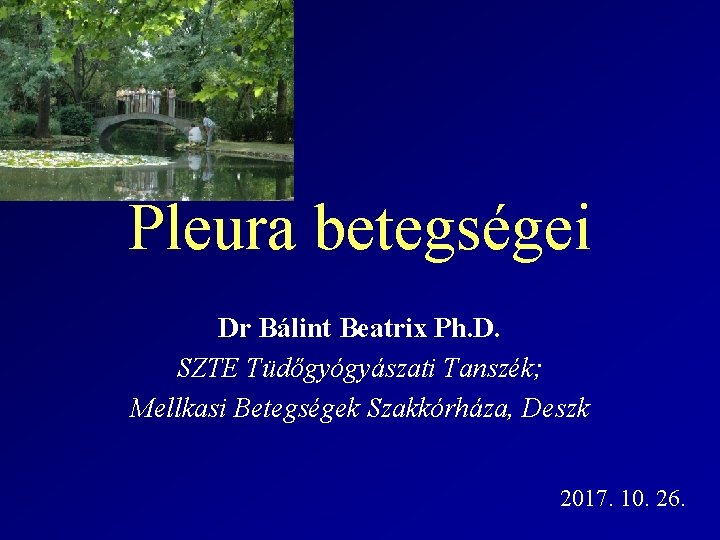 Pleura betegségei Dr Bálint Beatrix Ph. D. SZTE Tüdőgyógyászati Tanszék; Mellkasi Betegségek Szakkórháza, Deszk