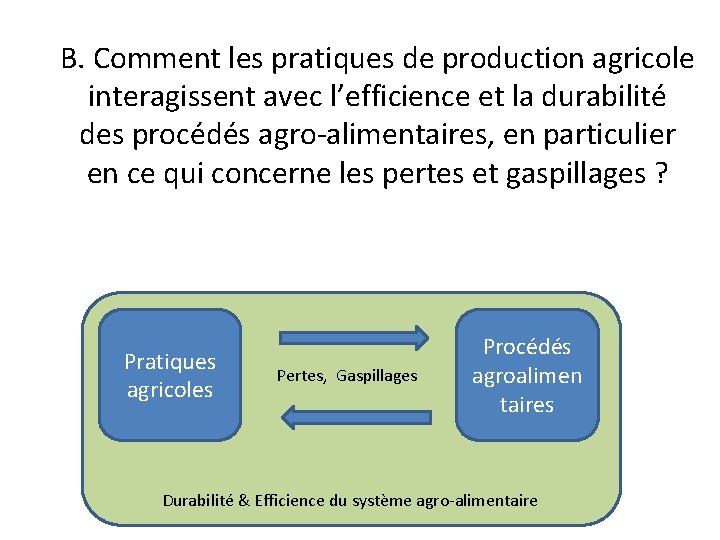 B. Comment les pratiques de production agricole interagissent avec l’efficience et la durabilité des