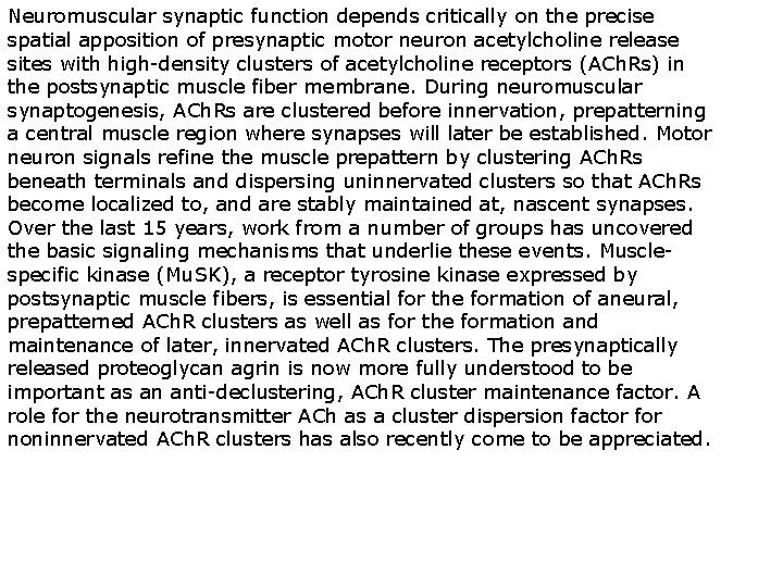 Neuromuscular synaptic function depends critically on the precise spatial apposition of presynaptic motor neuron