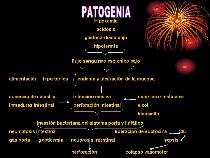 Hipoxemia acidosis gastocardiaco bajo hipotermia flujo sanguíneo esplenico bajo alimentación hipertonica endema y ulceración