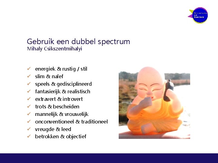 Gebruik een dubbel spectrum Mihaly Csikszentmihalyi ü energiek & rustig / stil ü slim