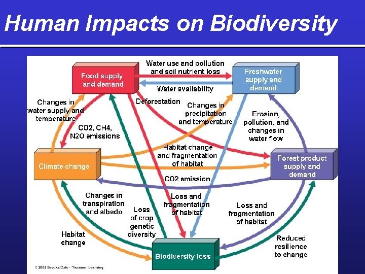 Human Impacts on Biodiversity 